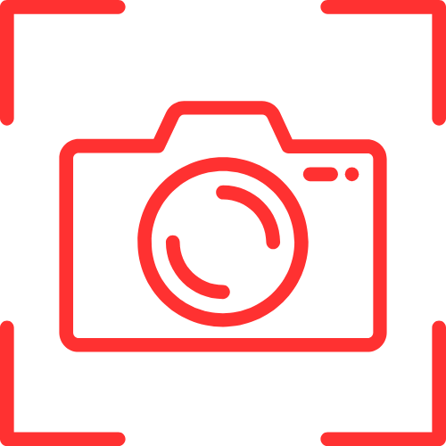 Livd Porn